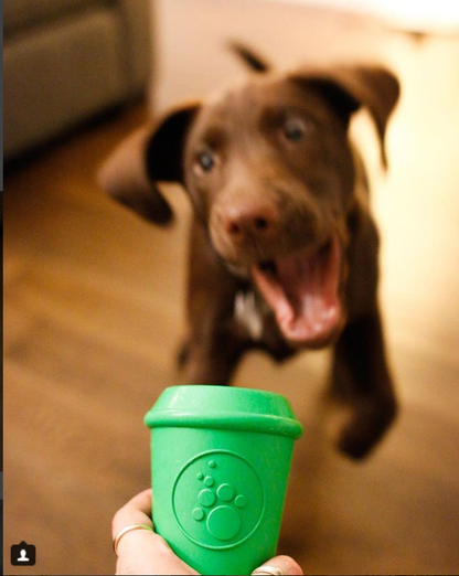 SP Coffee Cup Durable Rubber Chew Toy and Treat Dispenser: Medium Green Coffee Cup