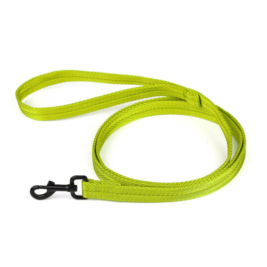 Nylon Flat Leash: Lime Green / 4' / 5/8"