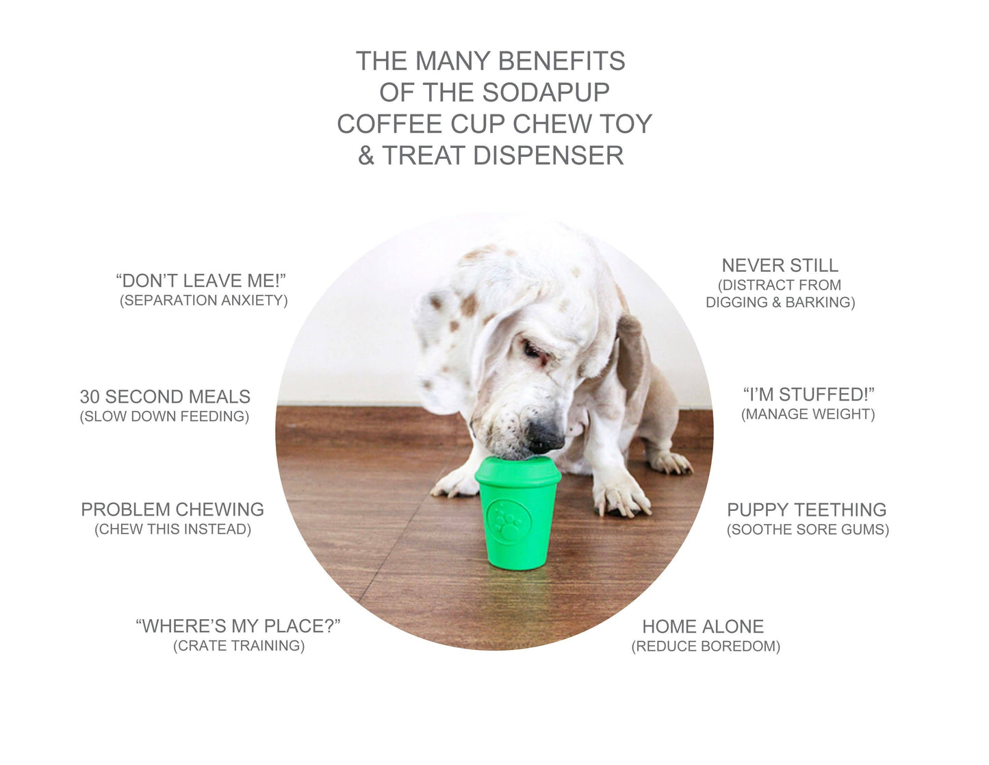 SP Coffee Cup Durable Rubber Chew Toy and Treat Dispenser: Medium Green Coffee Cup