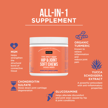 The Only Hemp Hip & Joint Soft Chews Dogs Need: 120 count jar