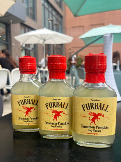 Furball Dog Whiskey Minis 100ml |12ct | Pumpkin-Cinnamon