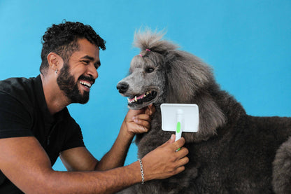 Andis Large Firm Slicker Brush - Green/White - VBL