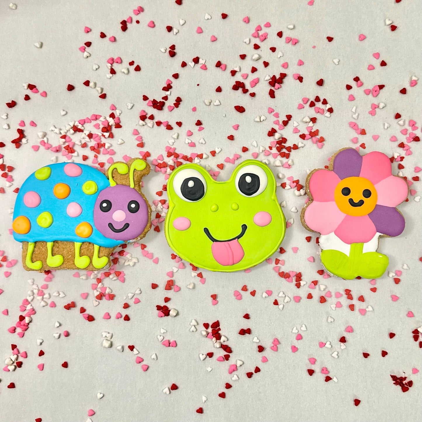 Colorburst Spring Bloom Collection: Neon Frog Cookie