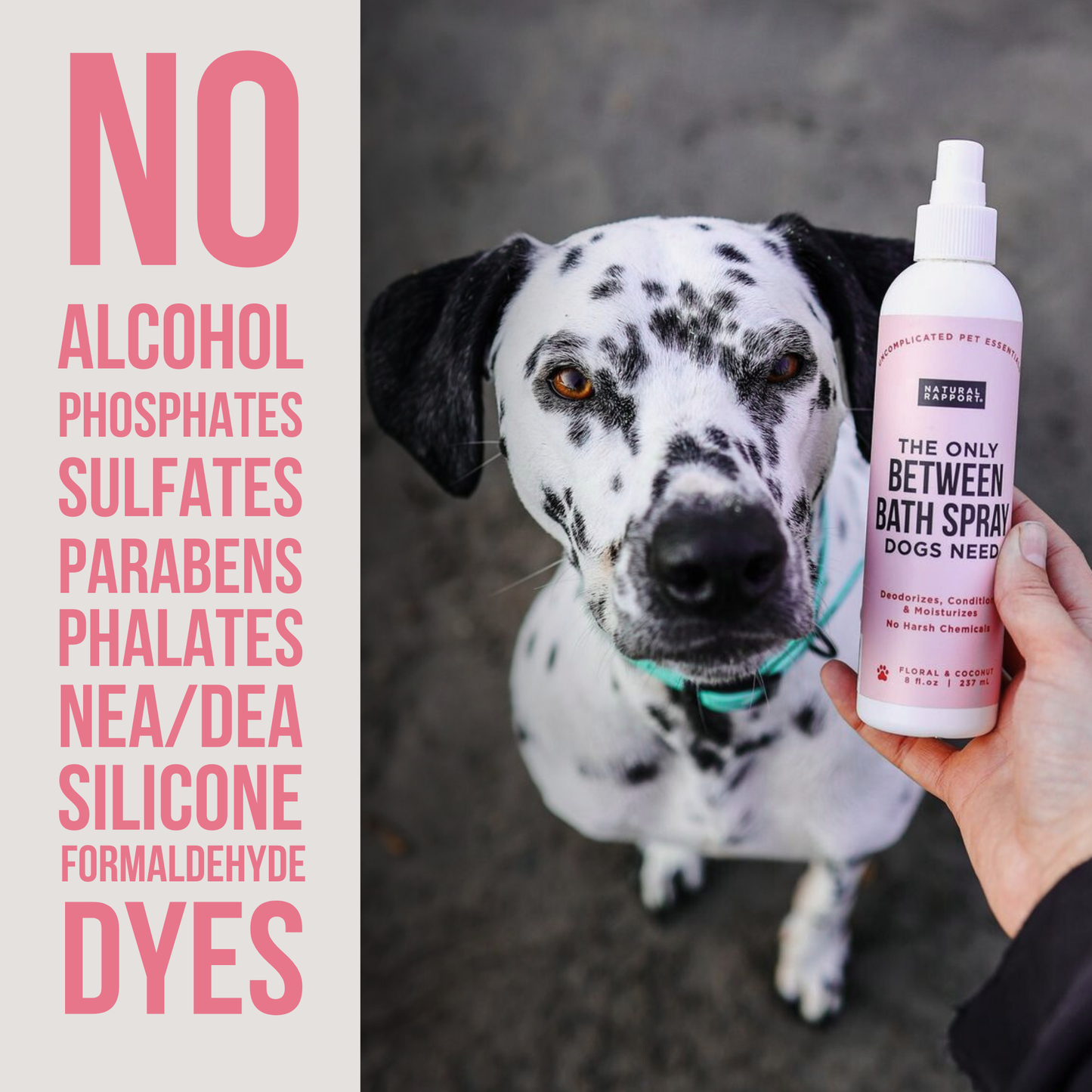 The Only Between Bath Spray Dogs Need - Floral & Coconut: 8 ounce