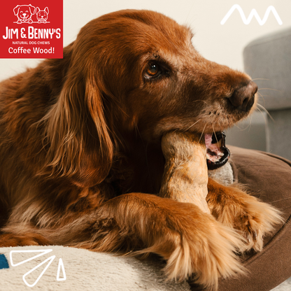Coffee Wood Chews for Dogs: Large