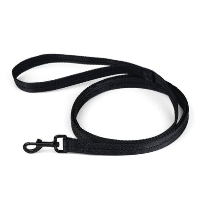 Nylon Flat Leash: Cyan / 4' / 5/8"