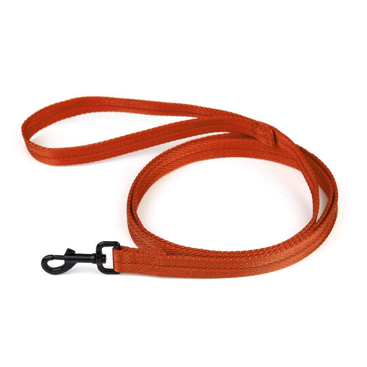 Nylon Flat Leash: Orange / 4' / 5/8"
